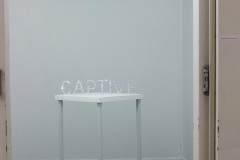 Captive